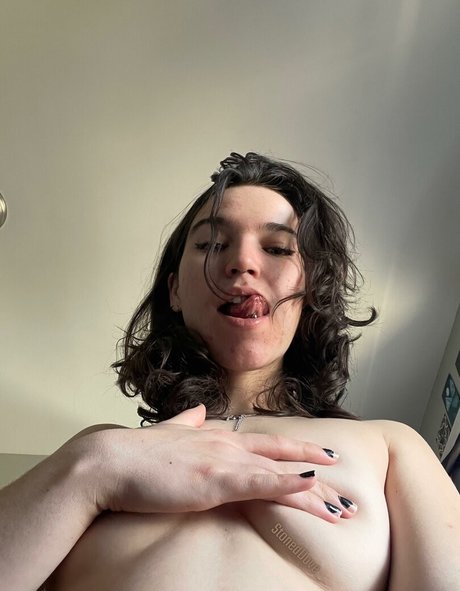 Generalexplanation44