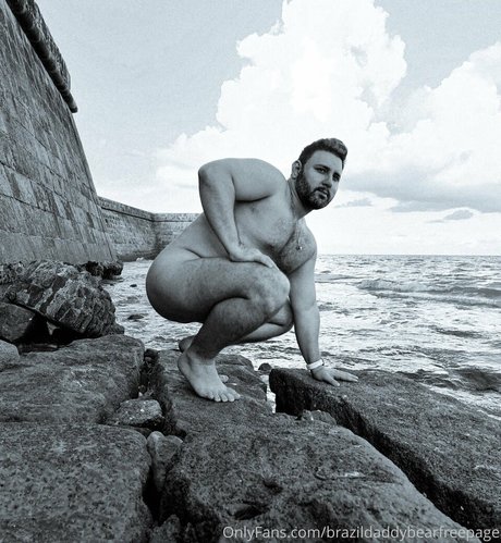 Brazildaddybearfreepage