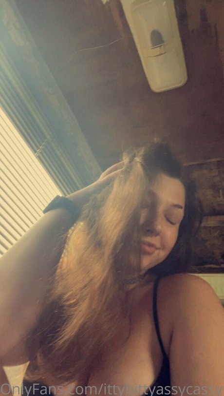Ittybittyassycassy