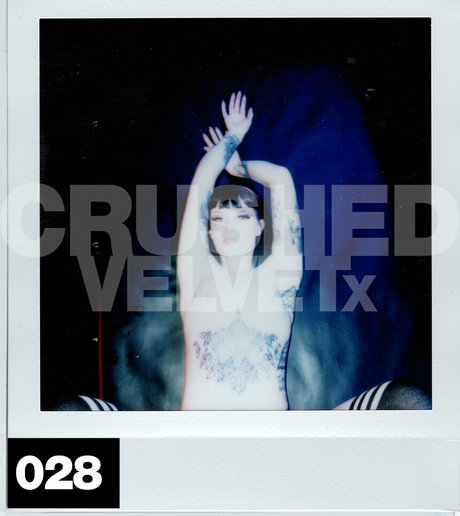 Crushedvelvetx