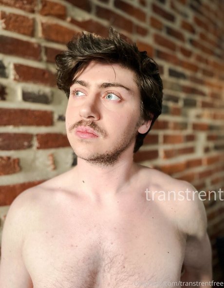 Transtrentfree