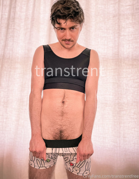 Transtrentfree