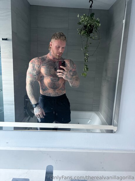 Therealvanillagorilla