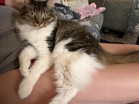 Ilovepussycats111