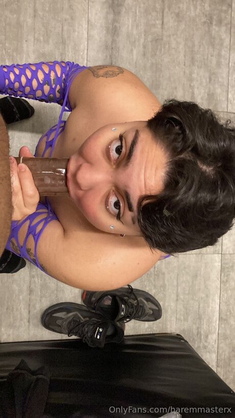 Haremmasterx