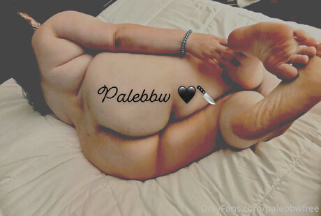 Palebbwfree
