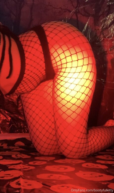 Bootyfulkitty