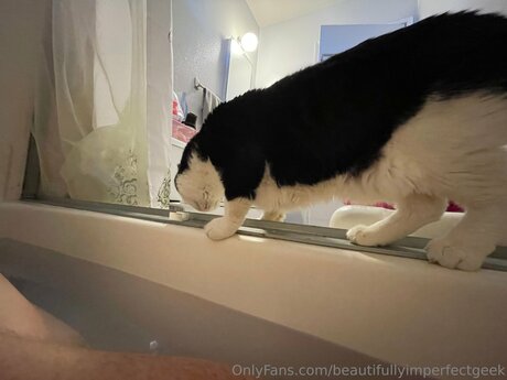 Beautifullyimperfectgeek