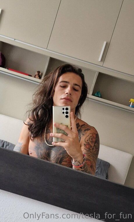 Tesla For Fun