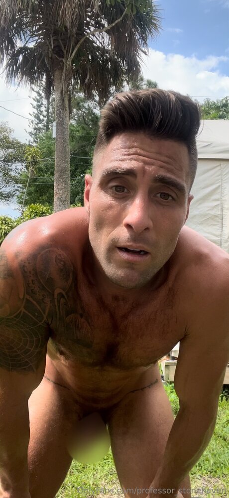 Professor Stonehaven