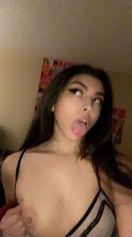 Blue Dream Hollywood