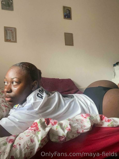 Maya Fields