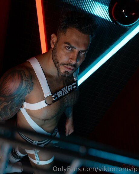 Viktorromvip