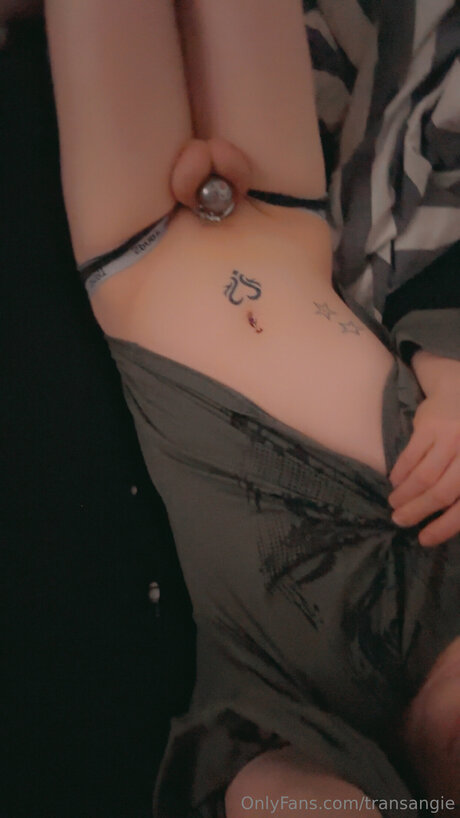 Transangie