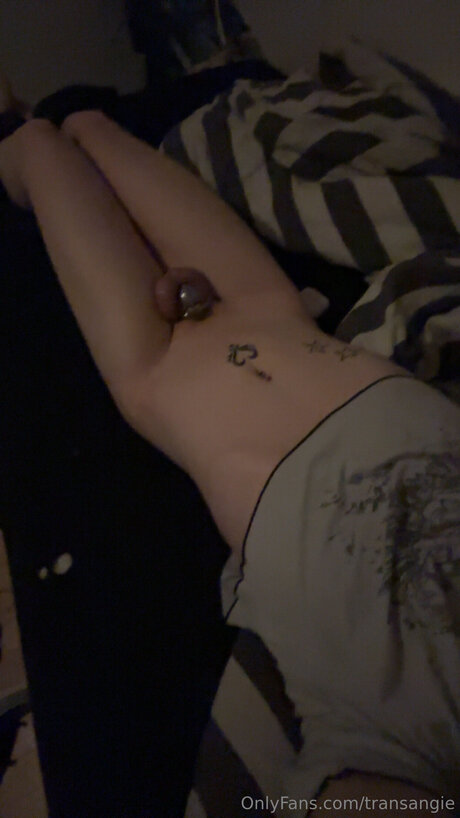 Transangie