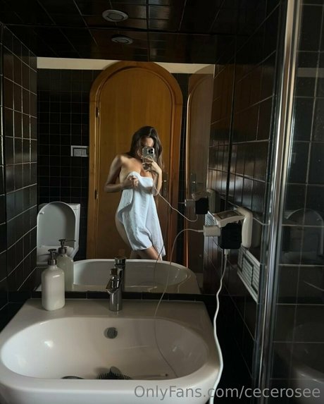 Cecerosee