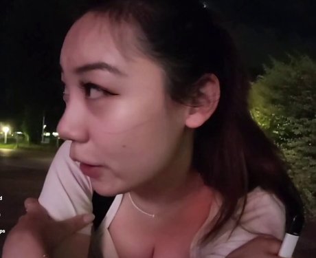 Issfanfan