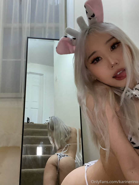 Karinerino