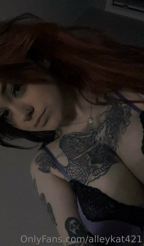 Alleykat