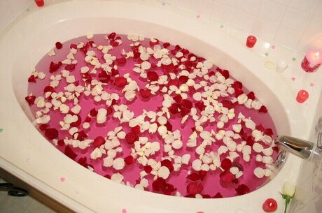 Southerncharms Reese