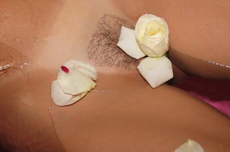 Southerncharms Reese