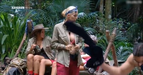 Ich Bin Ein Star  Holt Mich Hier Raus