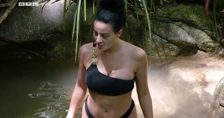 Ich Bin Ein Star  Holt Mich Hier Raus