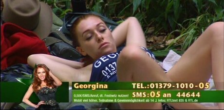 Ich Bin Ein Star  Holt Mich Hier Raus