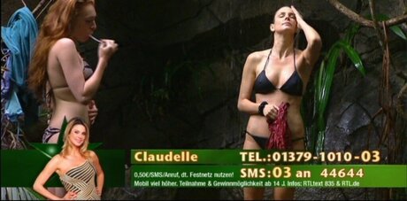 Ich Bin Ein Star  Holt Mich Hier Raus