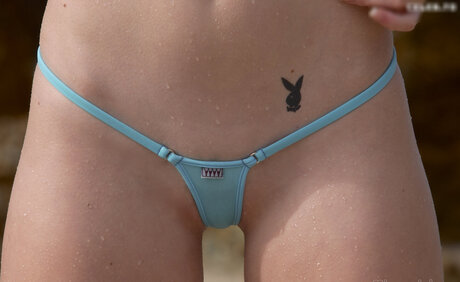 Microminimus Amp Wicked Weasel Models