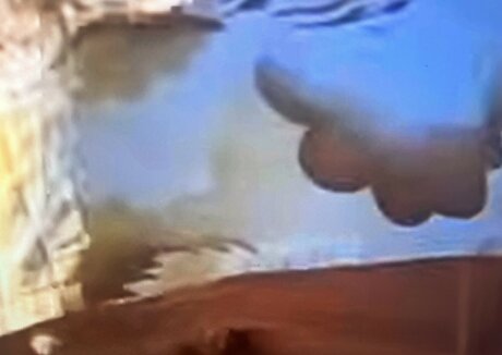 Sailing The Far Side