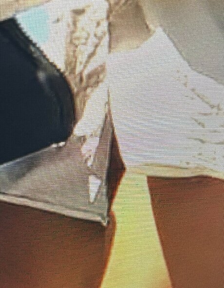 Sailing The Far Side