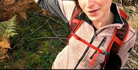 Lenaxfuchs  Lenafuchs