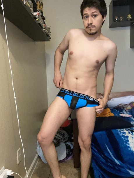 Luisinundies
