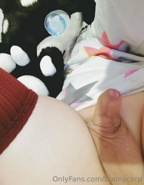 Bunnycorp