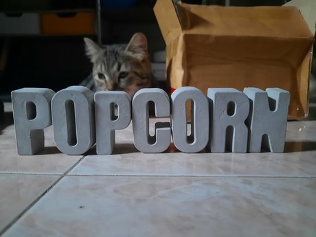 Popcorn 