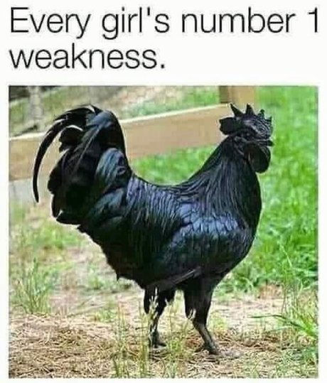 Lady Leopard  nude leaked OnlyFans photo