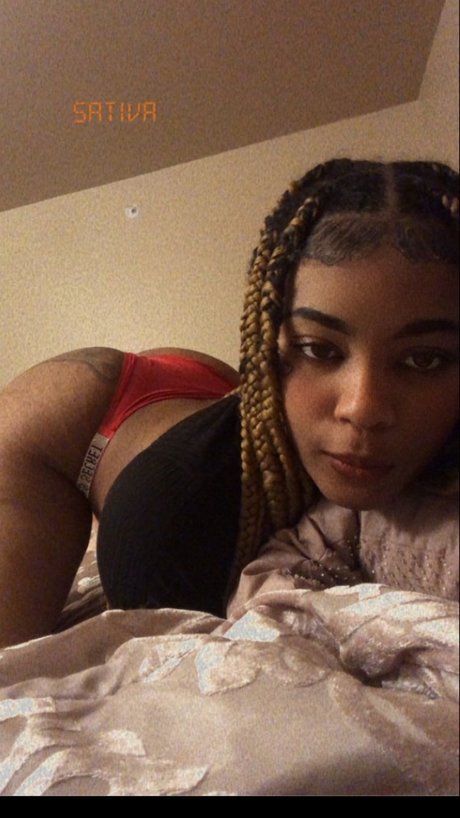 Exotic Paper Chasin Barb