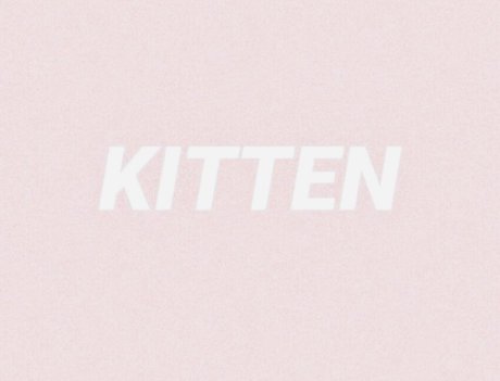 Kitten