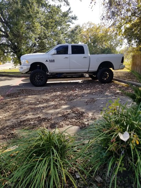 Theman0806  nude leaked OnlyFans photo