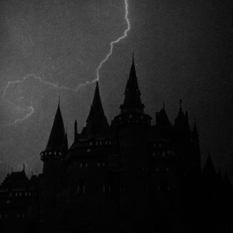 Whats This Guys Deal