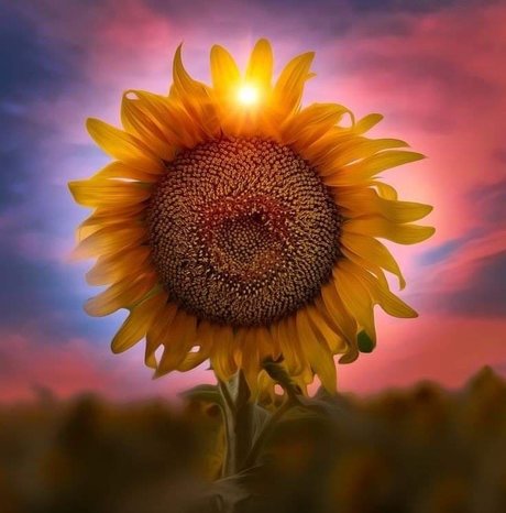 Lizzie Simpson Read Bio