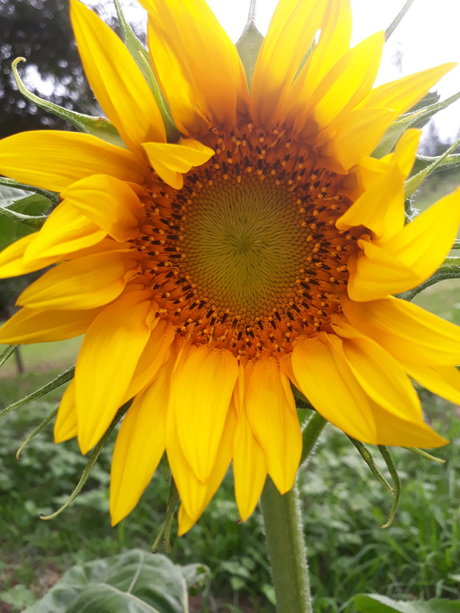 Heart Of Imagination