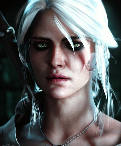 The Witcher