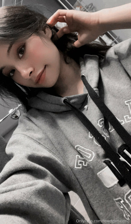 Lewdgamermel