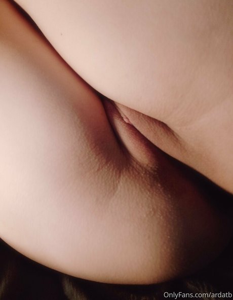 Ardatb