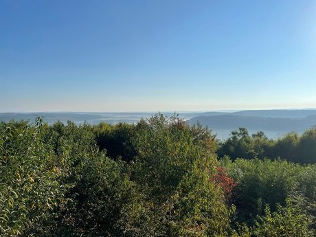 I  nude leaked OnlyFans photo