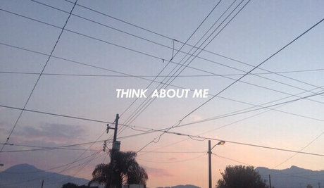 Profile Closed Daisy