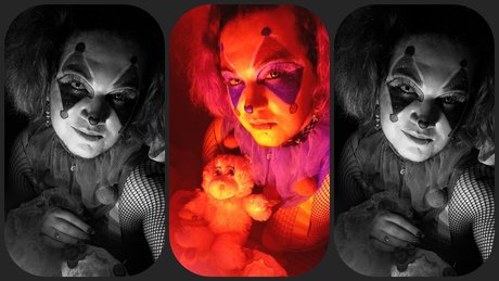 Tate R Thot The Clown Puppy