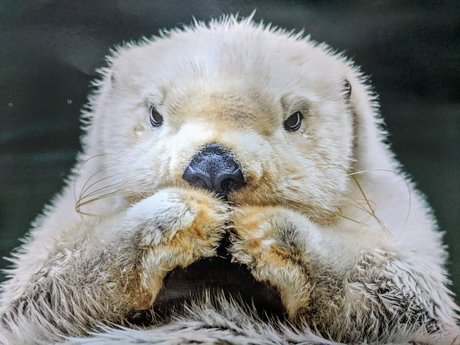 Bombtastic  nude leaked OnlyFans photo